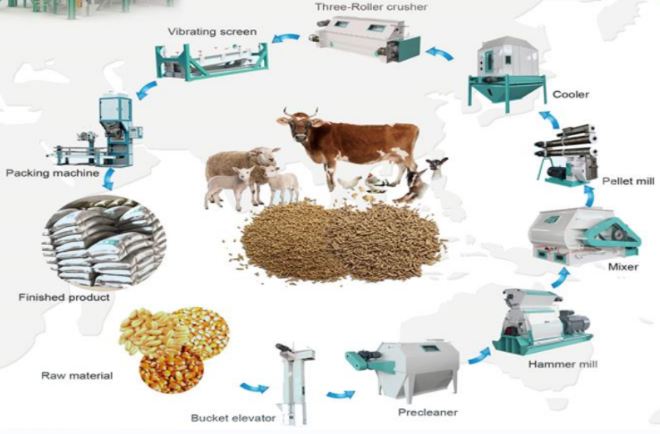 <br> <span>Animal feed plant</span>  <br> <span></span>
