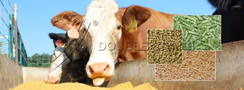 Cattle-feed-pellets.jpg